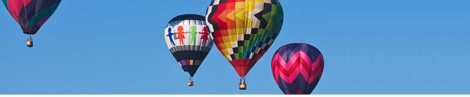 live173小黑蚊a383